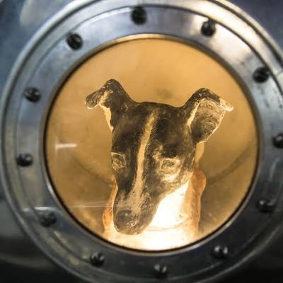 felinefel's profile picture. we/us