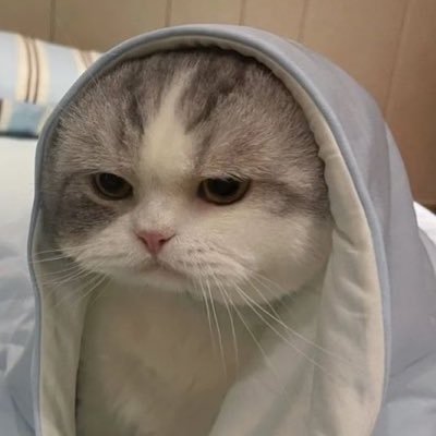 mmirary's profile picture. 𓐇 🐯✧ 𓐇 🐻✧ 𓐇 🗺️✧ 𓐇 🐺✧ 𓐇 #ATLAS_TH ✧ 𓐇 #LYKN ✧ 𓐇