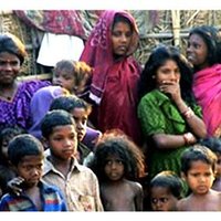 nandu banerjee (@nandu1355711886) 's Twitter Profile