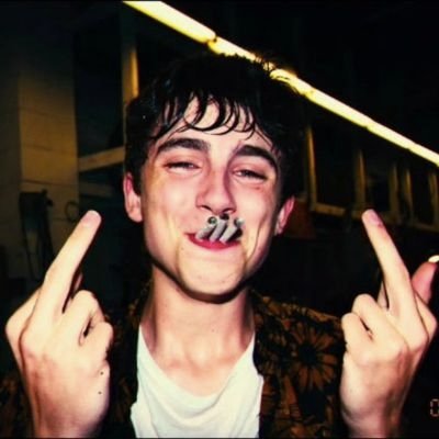 kittenc0pser's profile picture. 🌼