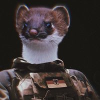 MieselWiesel (@mieselwiesel231) 's Twitter Profile