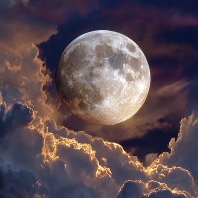 rdtriri's profile picture. 