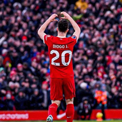 dinhofry's profile picture. Balancing the thrill of Arsenal matches with the strategic plays of crypto and Forex 📈, all while reconnecting and recharging in the great outdoors. COYG!⚽🌴.