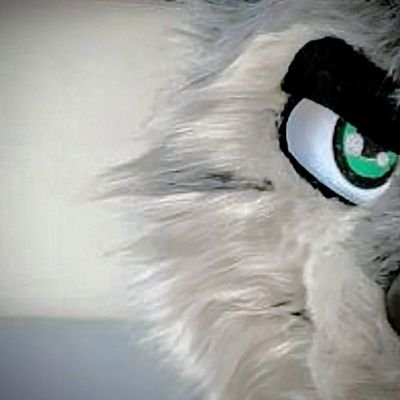 Purely Wolf.さんのプロフィール画像