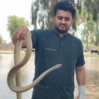 Shakeel Ahmed (@shakeelshaky) 's Twitter Profile Photo