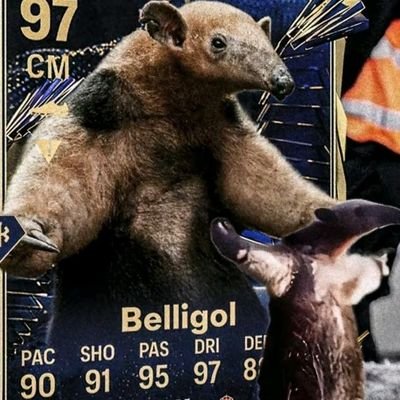 blake8834477419's profile picture. 