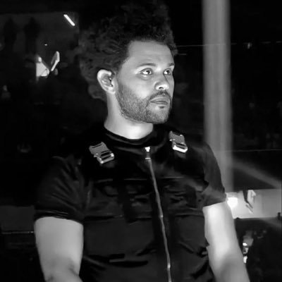 leyluvskleya's profile picture. xo + star wars lurking