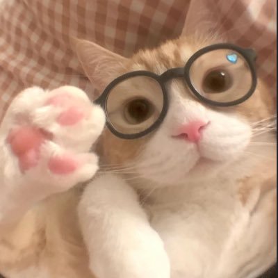 @mydogsareloose