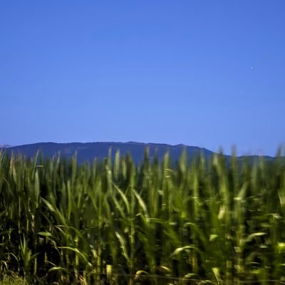 jiboxwe4380's profile picture. Wekî ku min nave xwe nivîsand ji bo xwe li vir im.