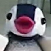 GRWXPR9ArZ83593's profile picture. 自己責任