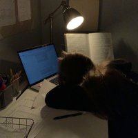 L 25 | Gap year (@yearl25) Twitter profile photo