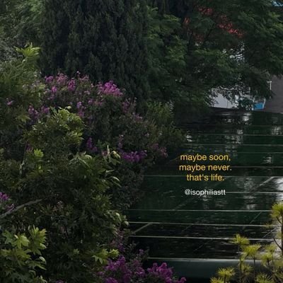 tOoothatmundane's profile picture. 🩺MS-5