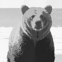Da lazy beardude (@reallylazybear) 's Twitter Profile