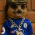 Nick hilton (@nickhilton4465) Twitter profile photo Nick hilton (@nickhilton4465) Twitter profile photo