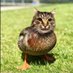 tabby 🇩🇪 (@americanlarper) Twitter profile photo tabby 🇩🇪 (@americanlarper) Twitter profile photo