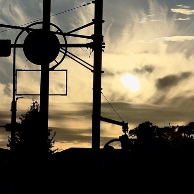 popshashin25's profile picture. 大学生です。 映画作りと映画批評をやっています。