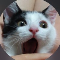AsheMajoDrawz | EZMORDE CREATOR (@ashemajo) 's Twitter Profile Photo