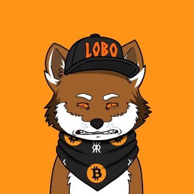 popdomains.x Profile
