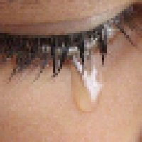 stevie ೀ⋆。˚ (@steviesedd) 's Twitter Profile