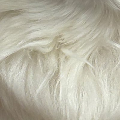 Cianmorfo's profile picture. 無言フォロー失礼します。 成人済。