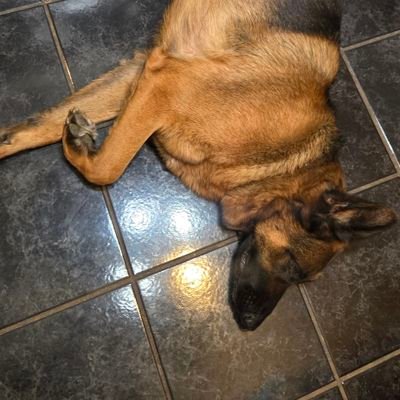 BCyang414's profile picture. I love the blockchain! Memecoin cycle is the best cycle yet!