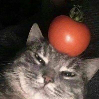 neresgc's profile picture. 