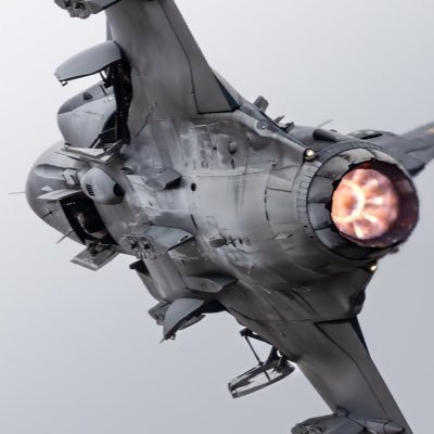 avlixu's profile picture. he/him 21