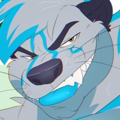 Wotterslide π¦¦πΊπ Profile