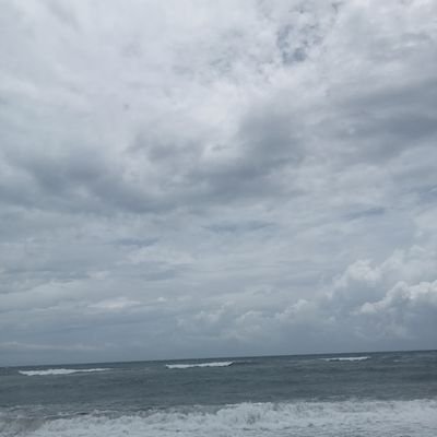 Tri Endah β’ freetag Profile