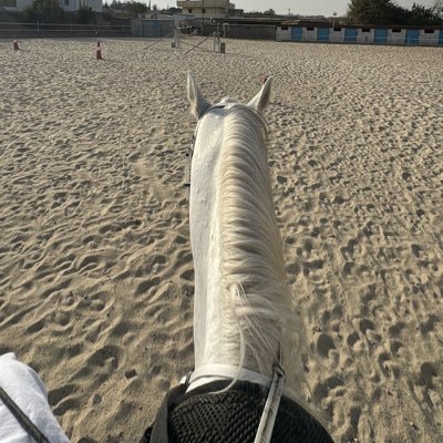 Nasa318515's profile picture. 