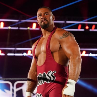 24 year old/big Bron breakker fan/gamer followed by @JohnCena retweeting nsfw stuff sometimes so no minor