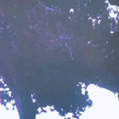 Beyesox's profile picture. I HATED Aİ ARTIST.