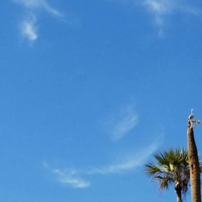 IamMichael908's profile picture. I am not here to hook up, move along!
Born again 12/24/1976. took this picture out of my golf cart. 2016.