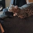 Christa - @Babyacid8469 - Twitter