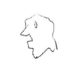 ⚜さんのプロフィール画像