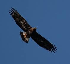 susterbroers's profile picture. Just doing my bit to make world a better place  Love my family,animals,music, writing and working with the elderly