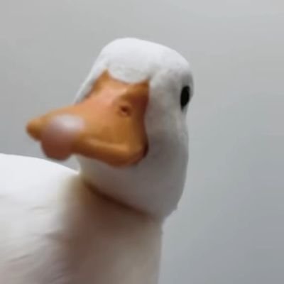 yaksha_xx's profile picture. hackathon enthusiast 👩‍💻