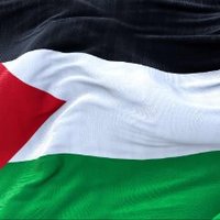 Free Palestine. Stop genocide (@saintjohn2028) 's Twitter Profile Photo