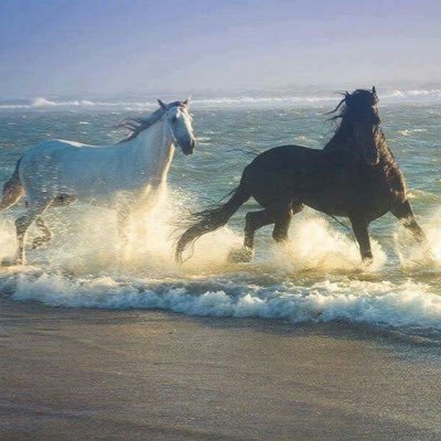 Norabnt_a's profile picture. ❤️‍🩹❤️‍🩹