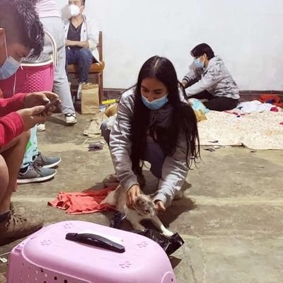 Rescato los animalitos en situacion de abandono que se cruzan en mi camino. Los Rehabilito, esterilizo y les busco un hogar para siempre.
Súmate 💌⤵️#Apadrina