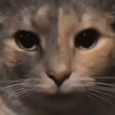 gdscfs's profile picture. M28, I like reposting things I would do to you. feel free to dm for whatever I’ll try to respond within 1 business day