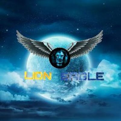 @LionEagle031