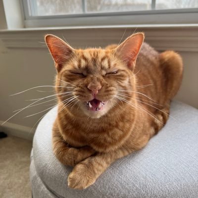 ElectricMoyo's profile picture. Beware of the early lead! 😀