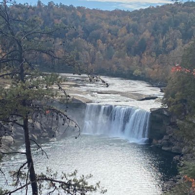 powderpuff1255's profile picture. No DM’s   I Love My Blended Family Stop Hate Stop Crimes