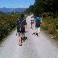 Tone Vays (@rog___5) 's Twitter Profile