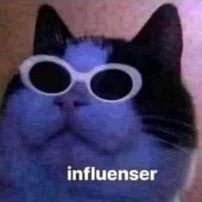 Home Theater Enthusiast, Tesla Lover, Meta Hater, Supporter of Humanity