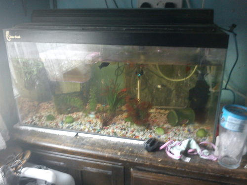 johny69000's profile picture. 