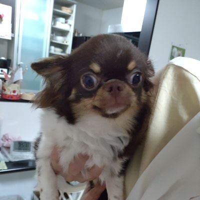 pino20110928's profile picture. 