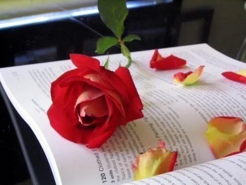 أتمنى أن أترك أثرا طيبا ينفعني بعد موتى..