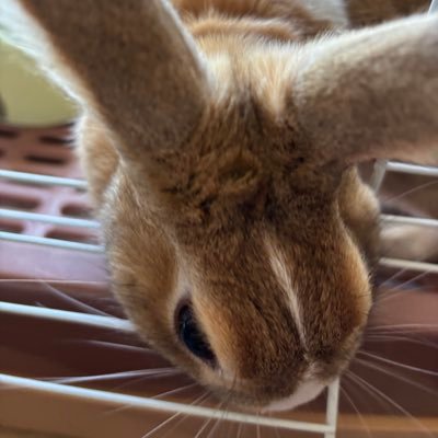 なまえさんのプロフィール画像